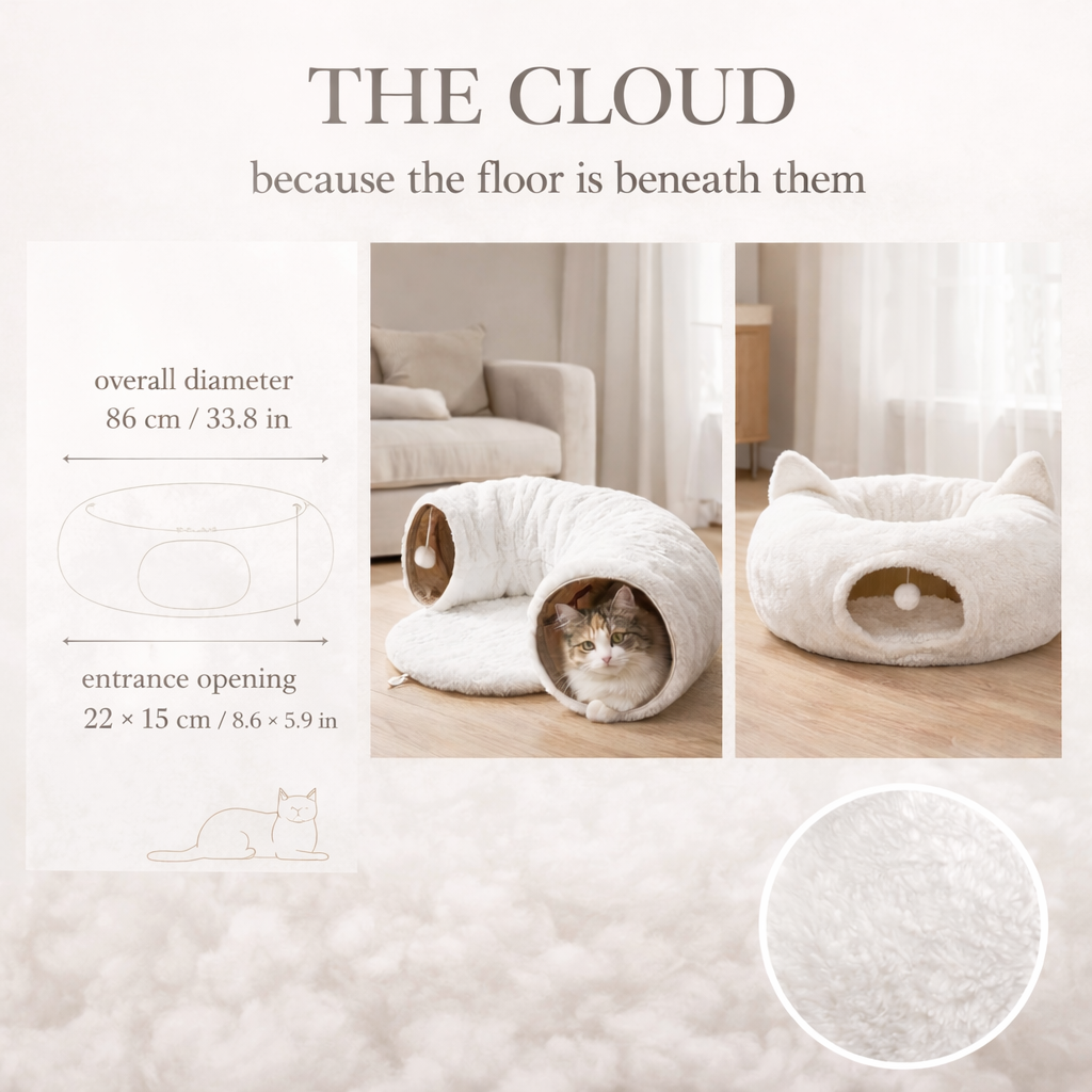 The Cloud