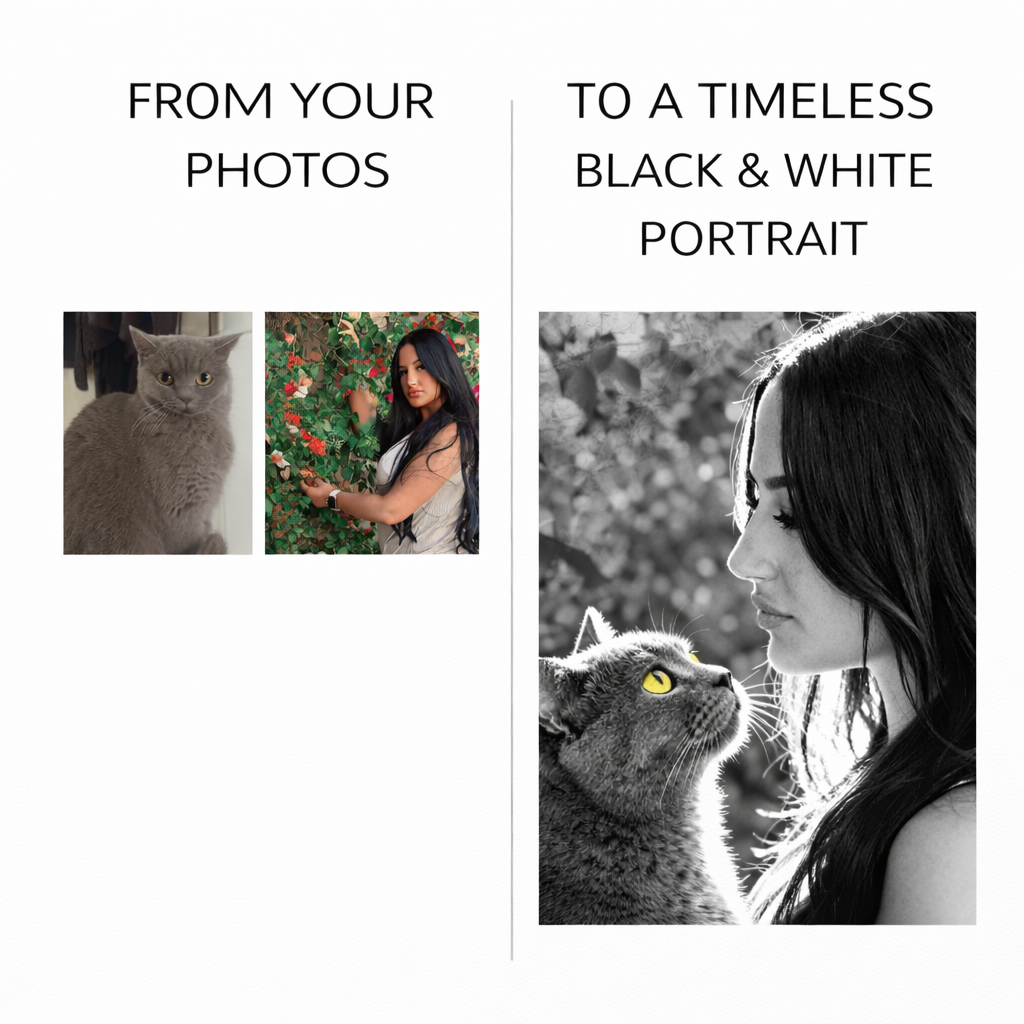 The OnlyCats Portrait