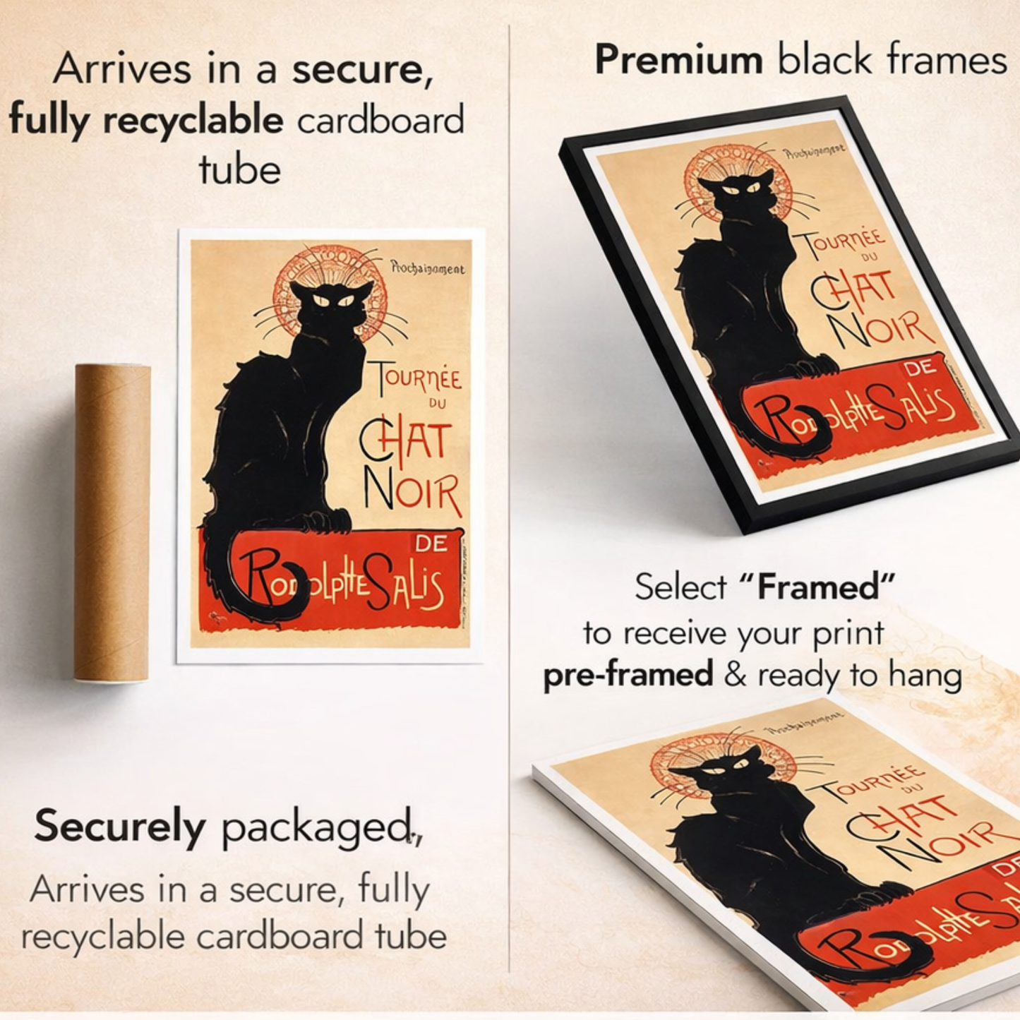 Chat Noir