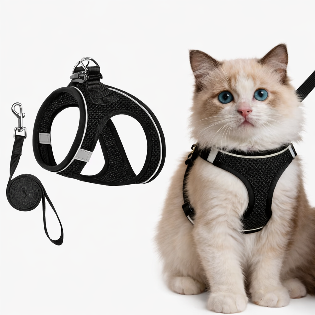 Paws on Board - Essential travel kit