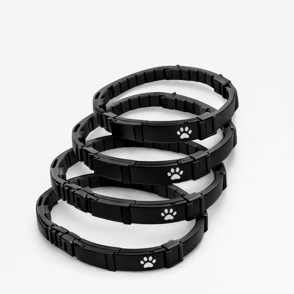 Paws on Board - Essential travel kit