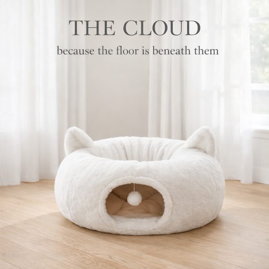 The Cloud