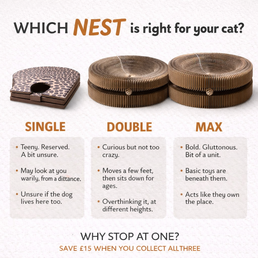 The Nest