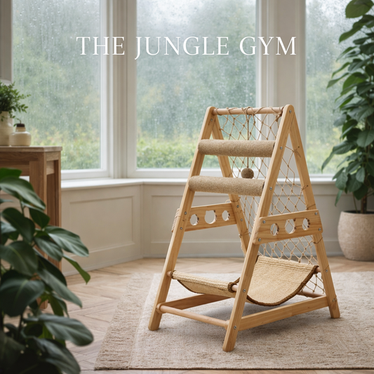 The Jungle Gym
