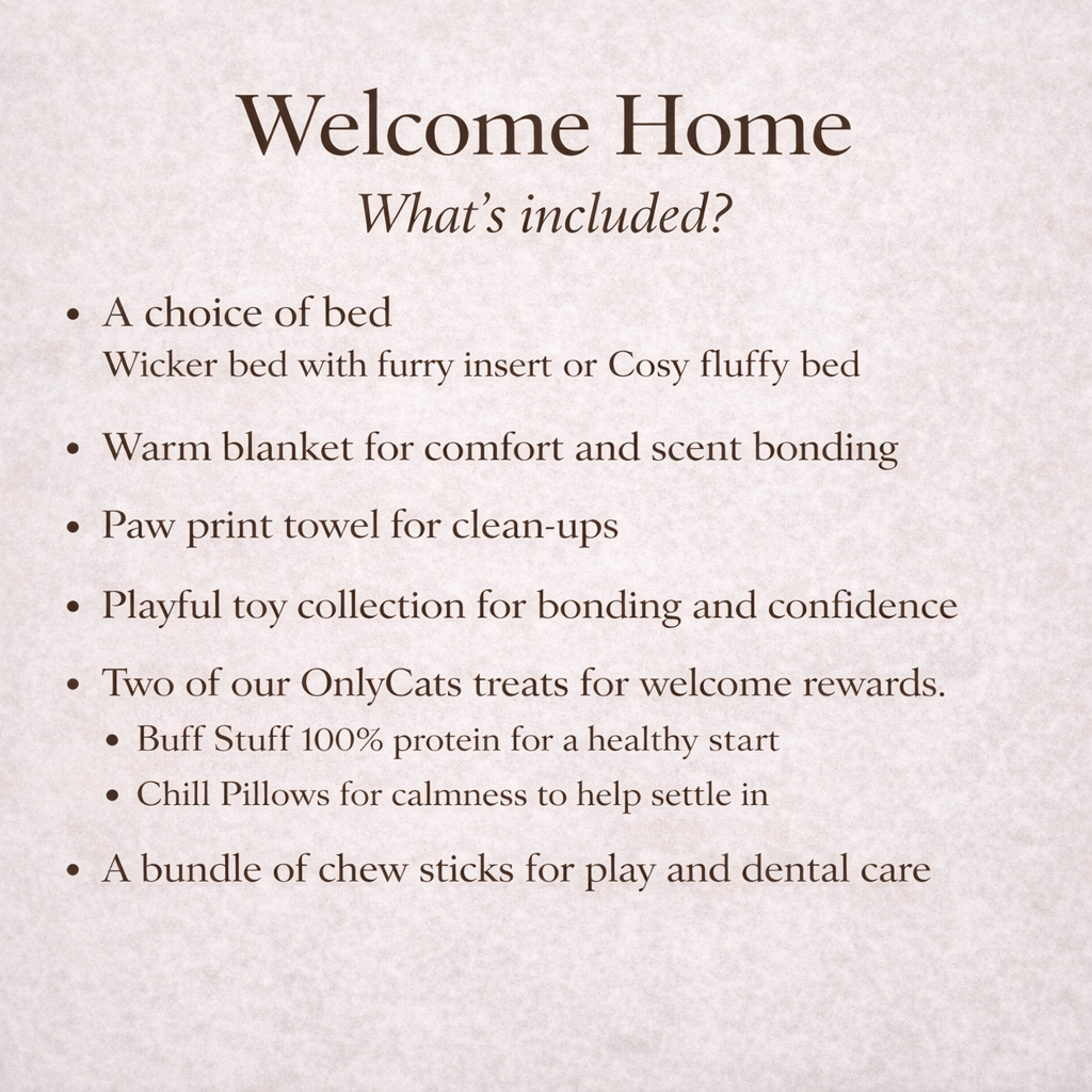 Welcome Home