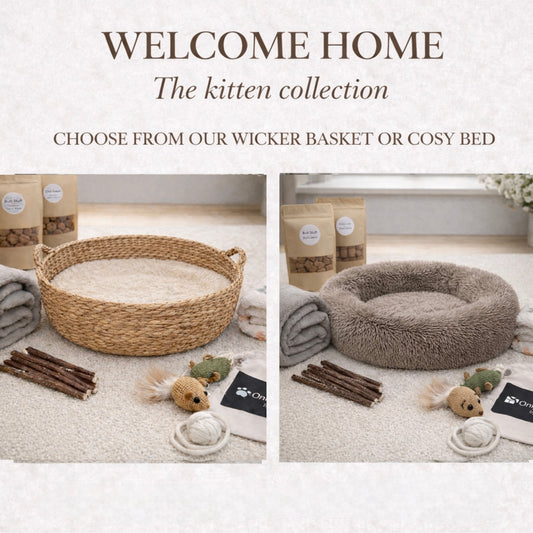 Welcome Home