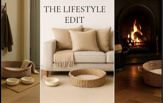 Premium Cat Lifestyle Bundle - Seagrass Bed, Ceramic Bowls & Luxury Blanket