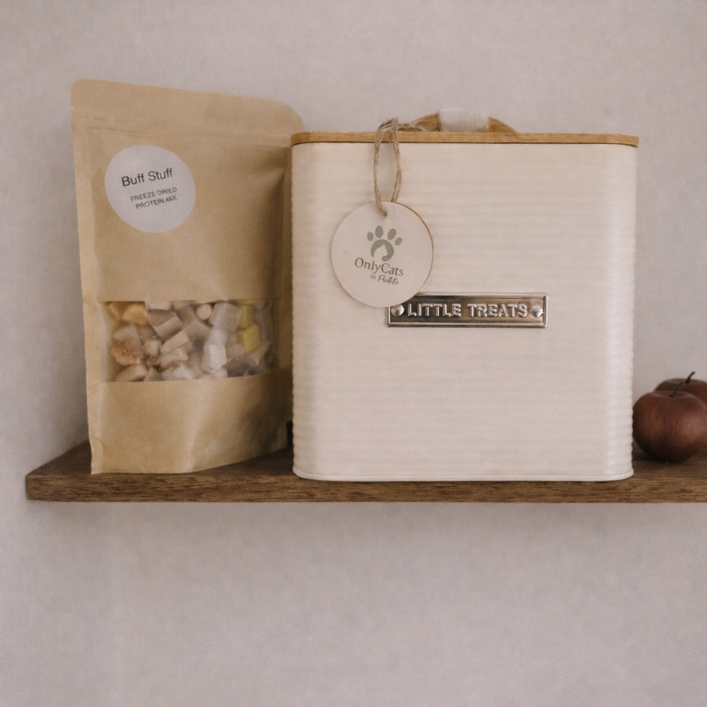 OnlyCats Pantry Tin