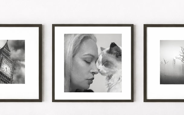 The OnlyCats Portrait