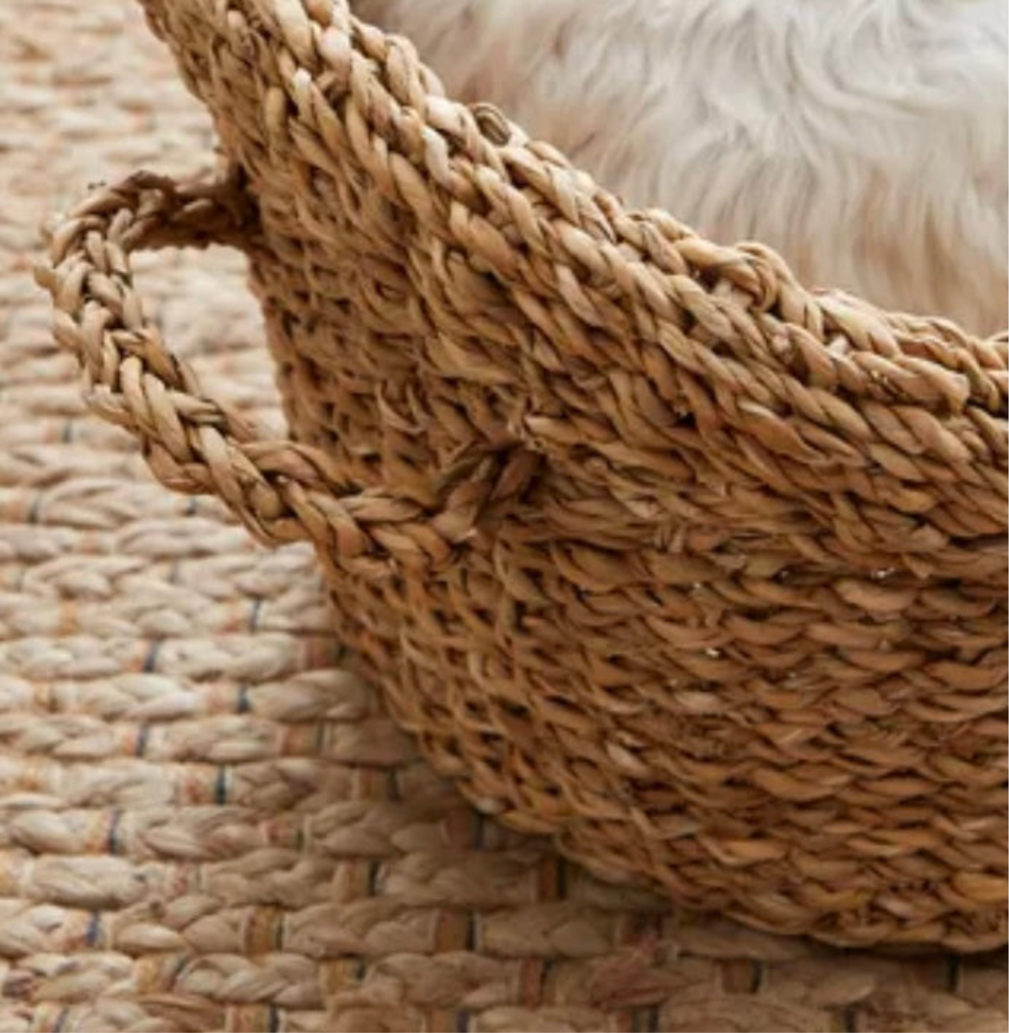 Premium Seagrass Cat Bed (50x32x23cm) - Natural Woven Pet Furniture with Free Cushion Cover