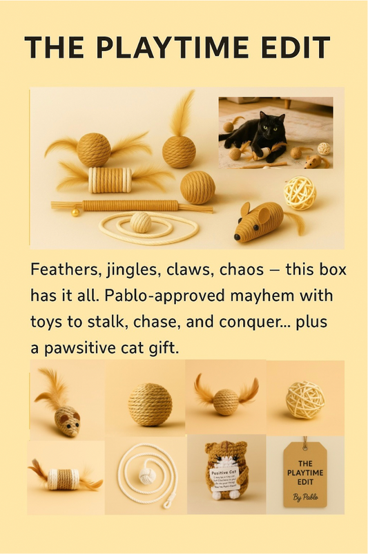 THE PLAYTIME EDIT Natural Cat Toy Set - Rope, Feathers & Catnip Play Bundle with Free Gift