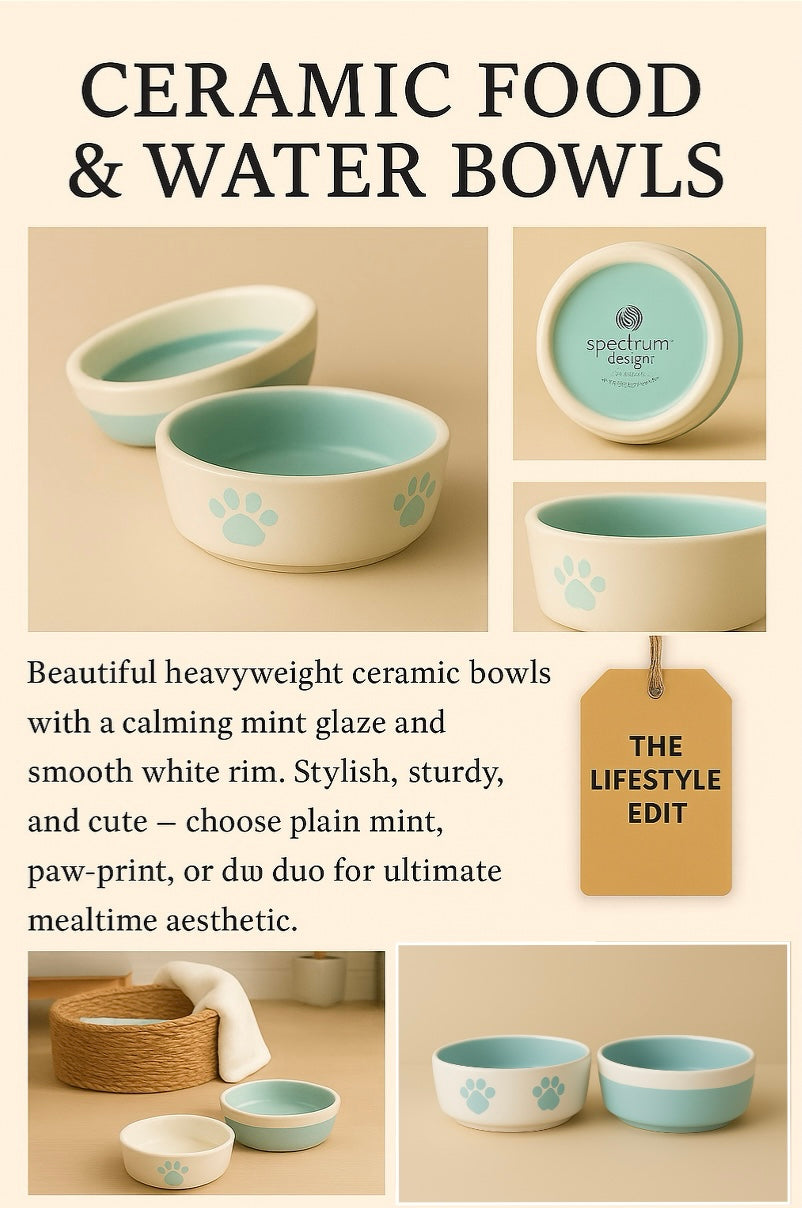 Premium Ceramic Cat Food & Water Bowls (12cm) - Mint Green Pet Dishes with White Rim