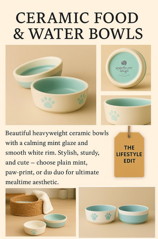 Premium Ceramic Cat Food & Water Bowls (12cm) - Mint Green Pet Dishes with White Rim