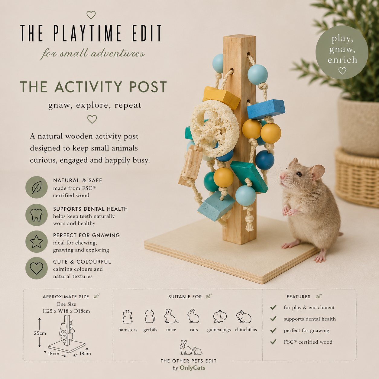 The Toy Box