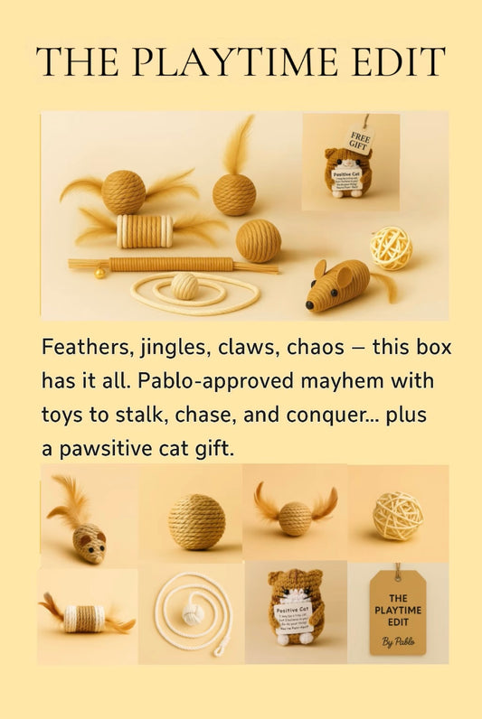 THE PLAYTIME EDIT - Natural Cat Toy Set - Rope & Feathers Bundle with Free Gift