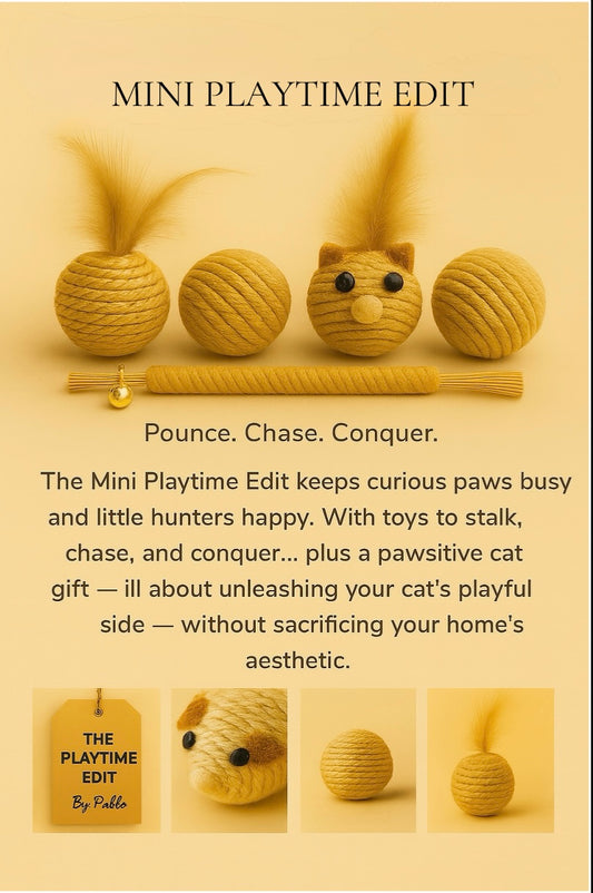 MINI PLAYTIME EDIT - (5 Pieces) Natural Rope & Feather Play Bundle