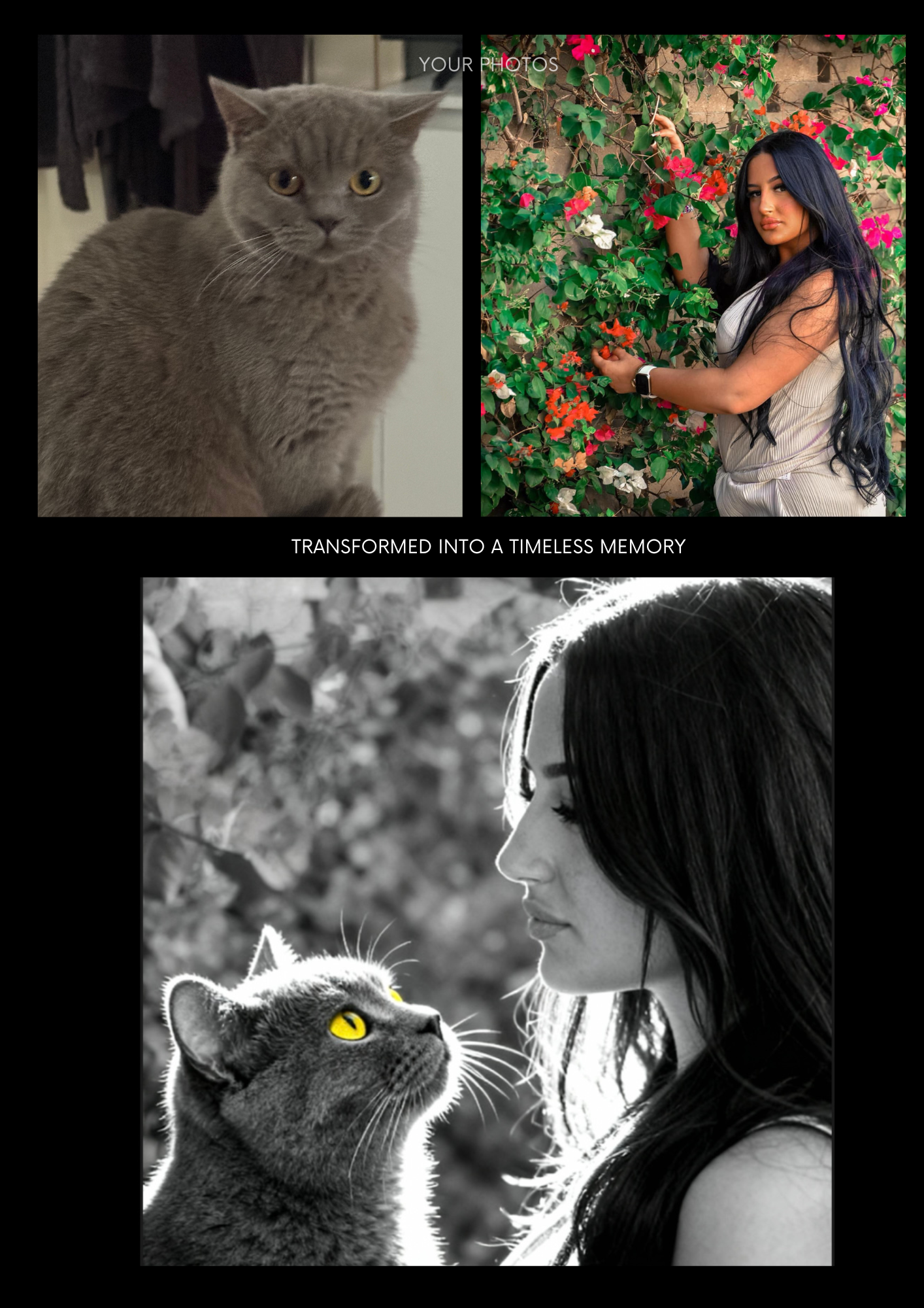 Personalised Luxury Custom Pet Portrait Gift
