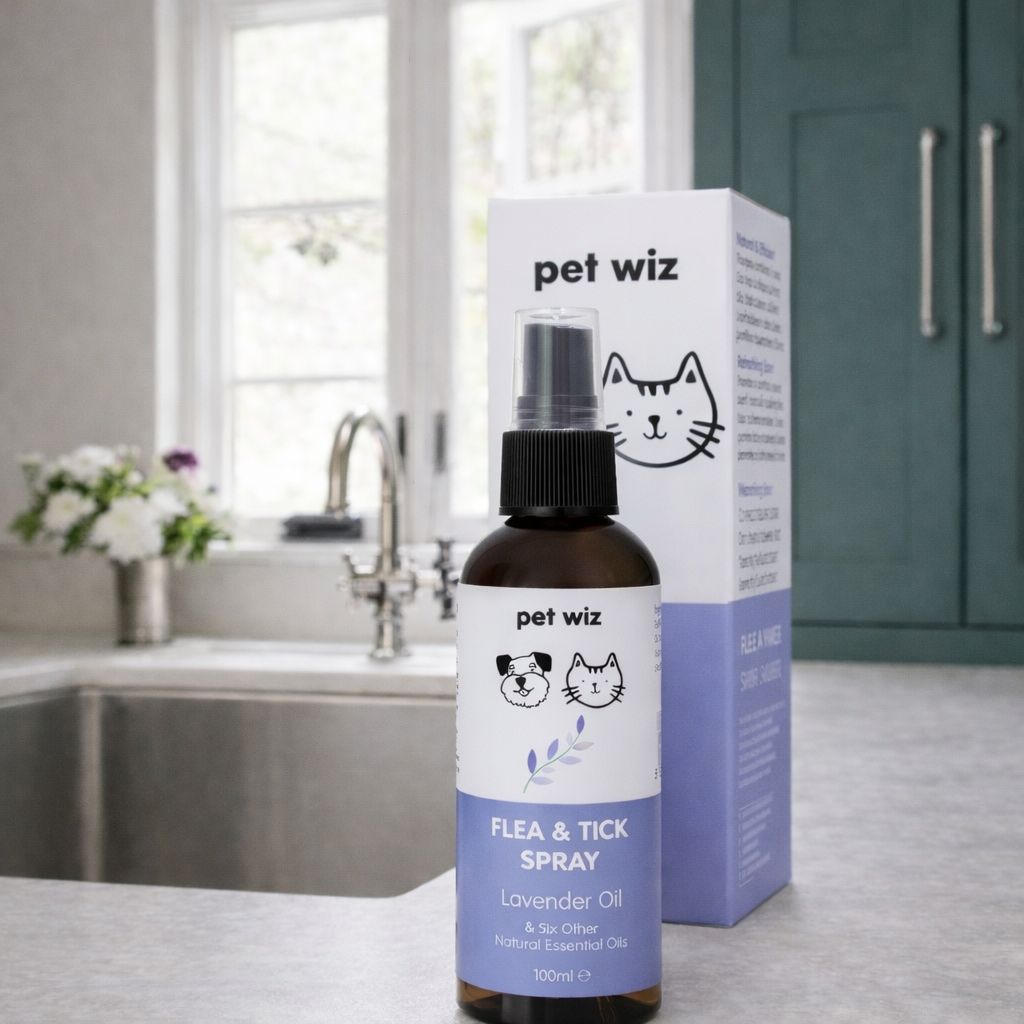 The Smell Ya Later - 7 products to help keep things fresh
