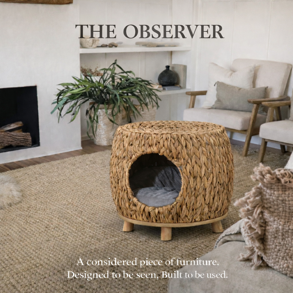 The Observer