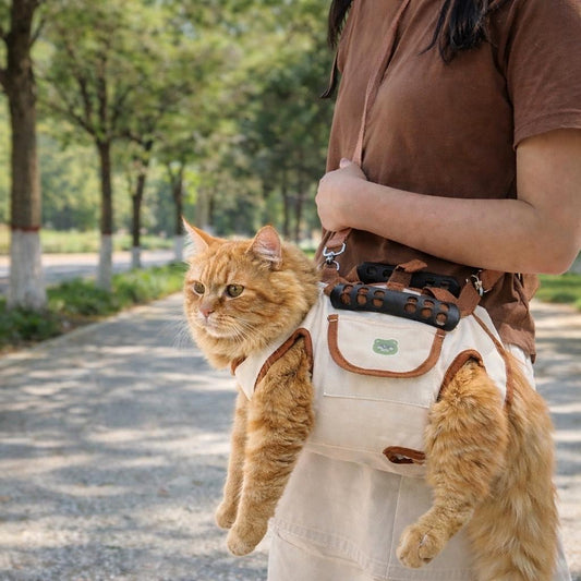 The Social Climber - Indoor Cats. Outside In Style