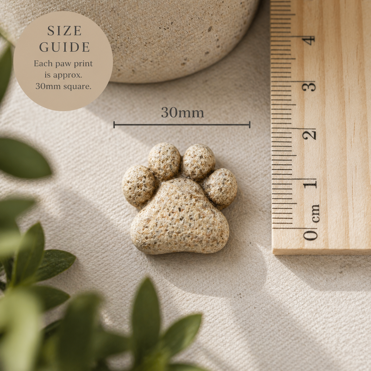 Paw Path