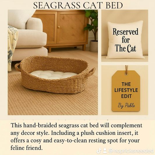 Premium Seagrass Cat Bed (50x32x23cm) - Natural Woven Pet Furniture with Free Cushion Cover
