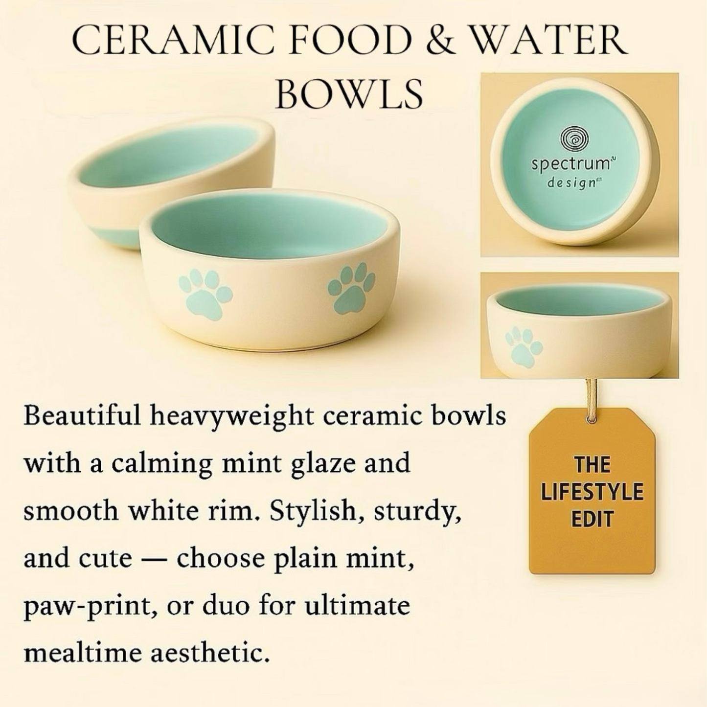 Premium Ceramic Cat Food & Water Bowls - Mint Green Pet Dishes with White Rim