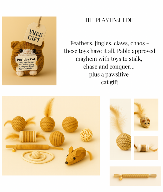 THE PLAYTIME EDIT - Natural Cat Toy Set - Rope & Feathers Bundle with Free Gift