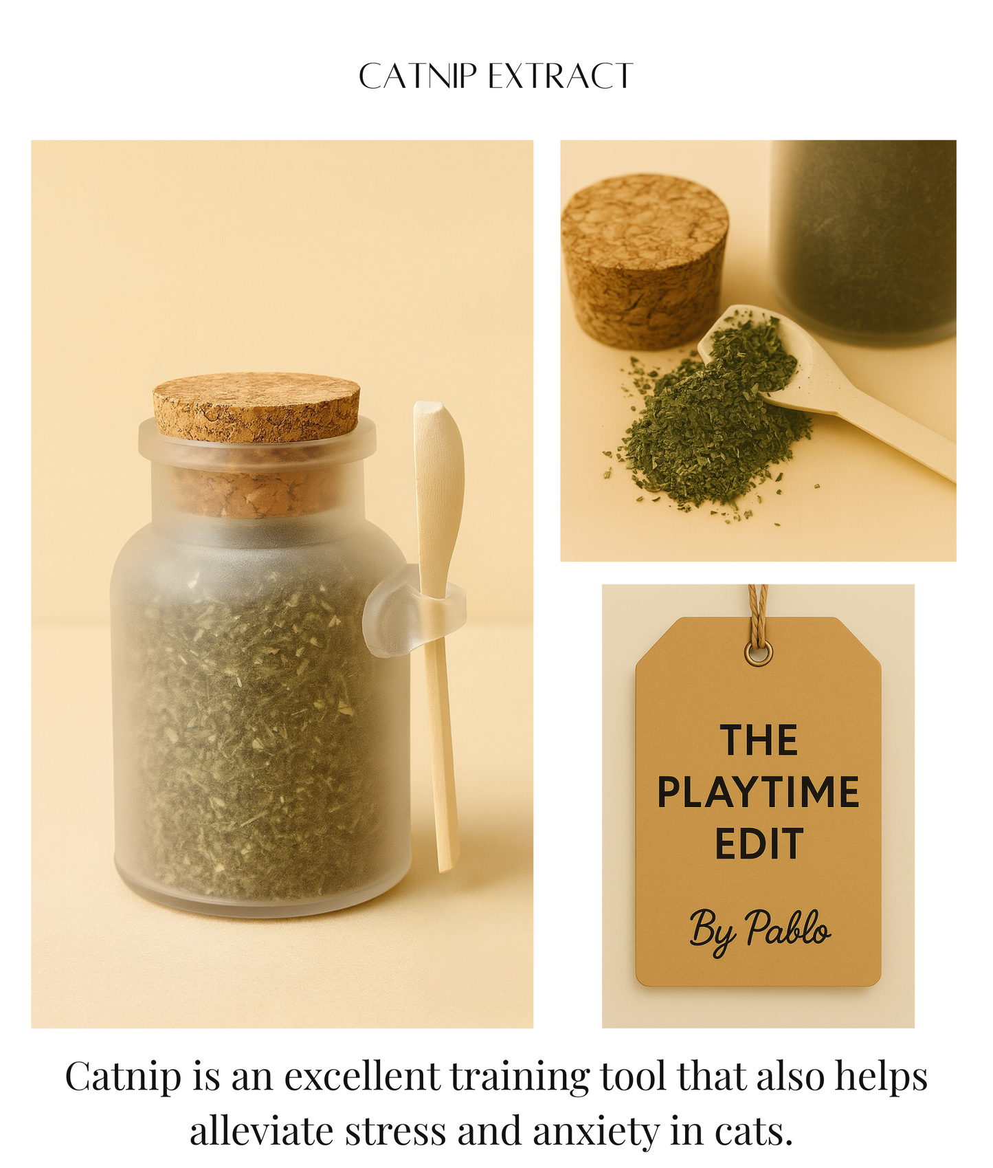 Premium Catnip Extract (100ml) - Pure Natural Cat Training & Play Aid with Wooden Spoon