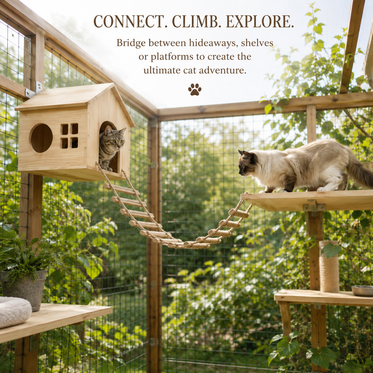 The Climb