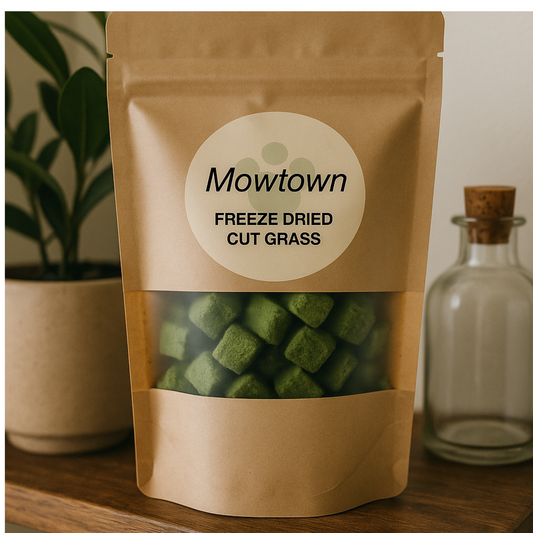 Mowtown - Cat Grass 60g Freeze-dried