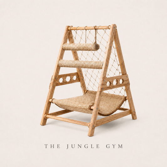 The Jungle Gym