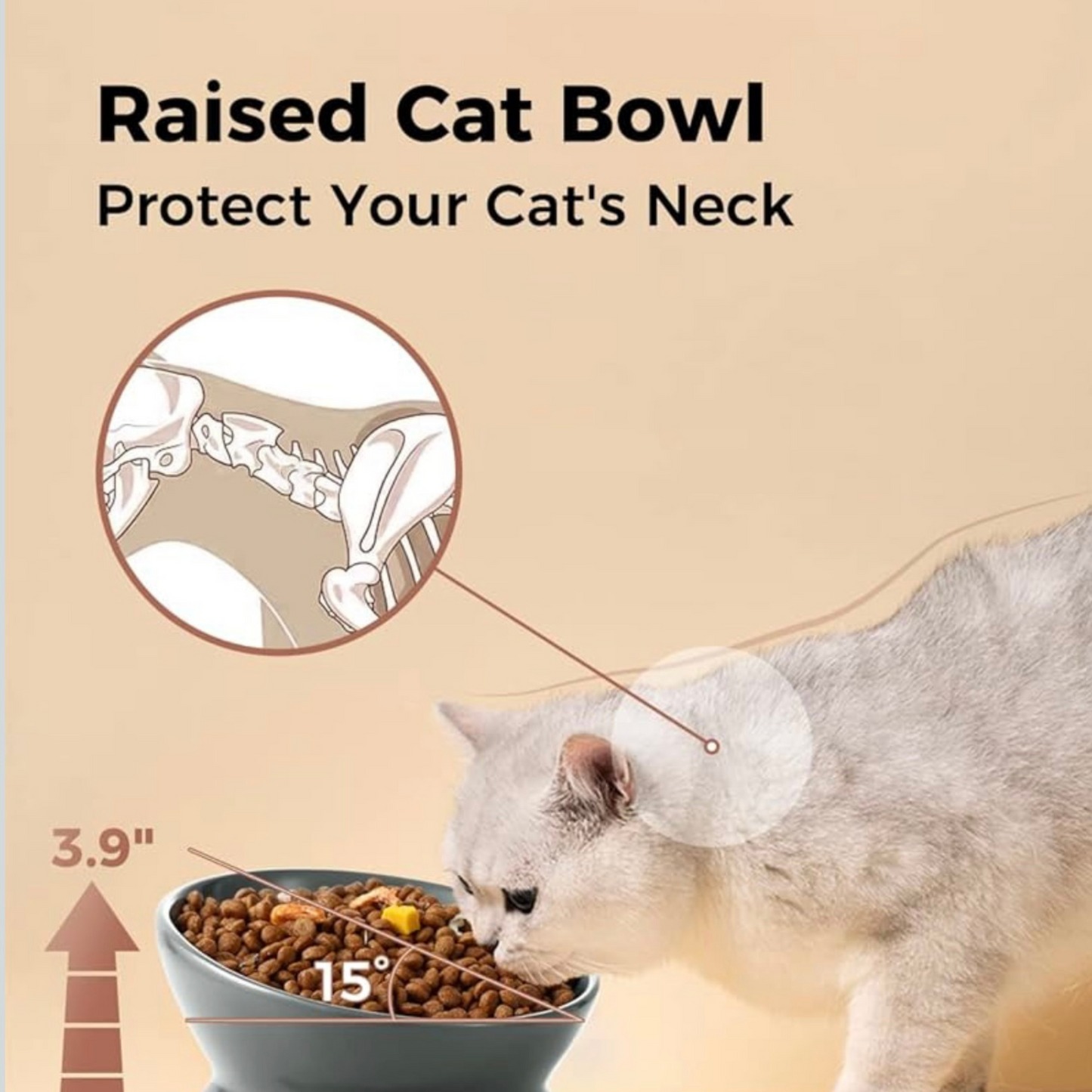 LoeJan Elevated Bowls