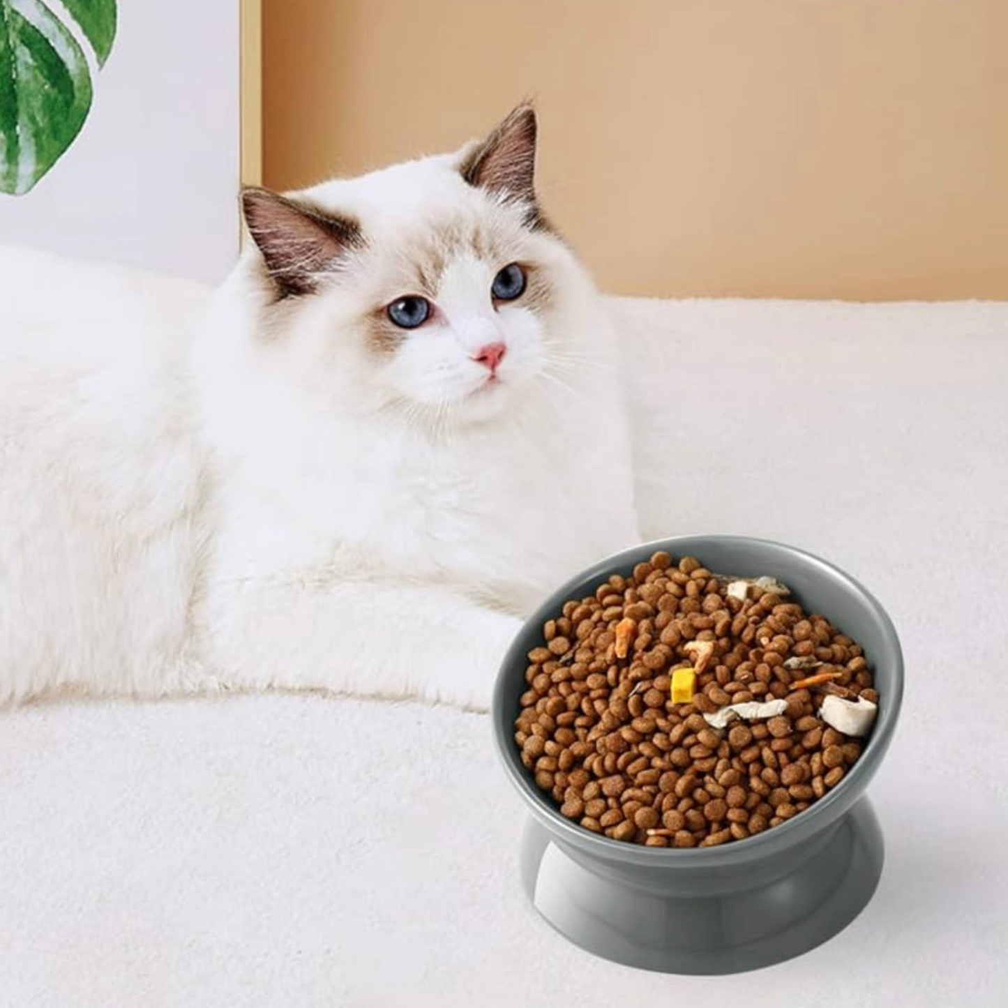 LoeJan Elevated Bowls